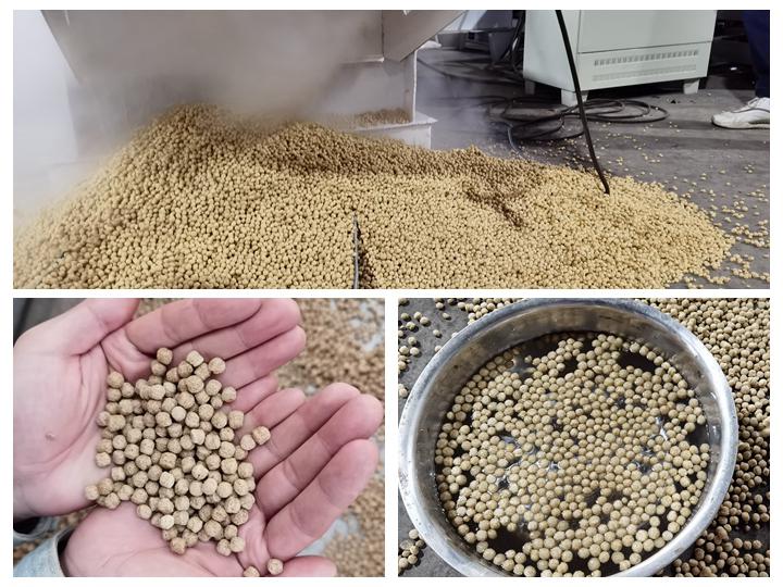 Gujarat Walleye feed pellet extruder